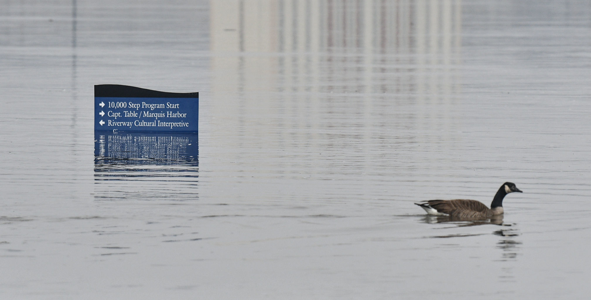 River Drive flooding in Moline